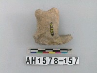 藏品(灰褐色夾砂陶蓋鈕殘件)的圖片